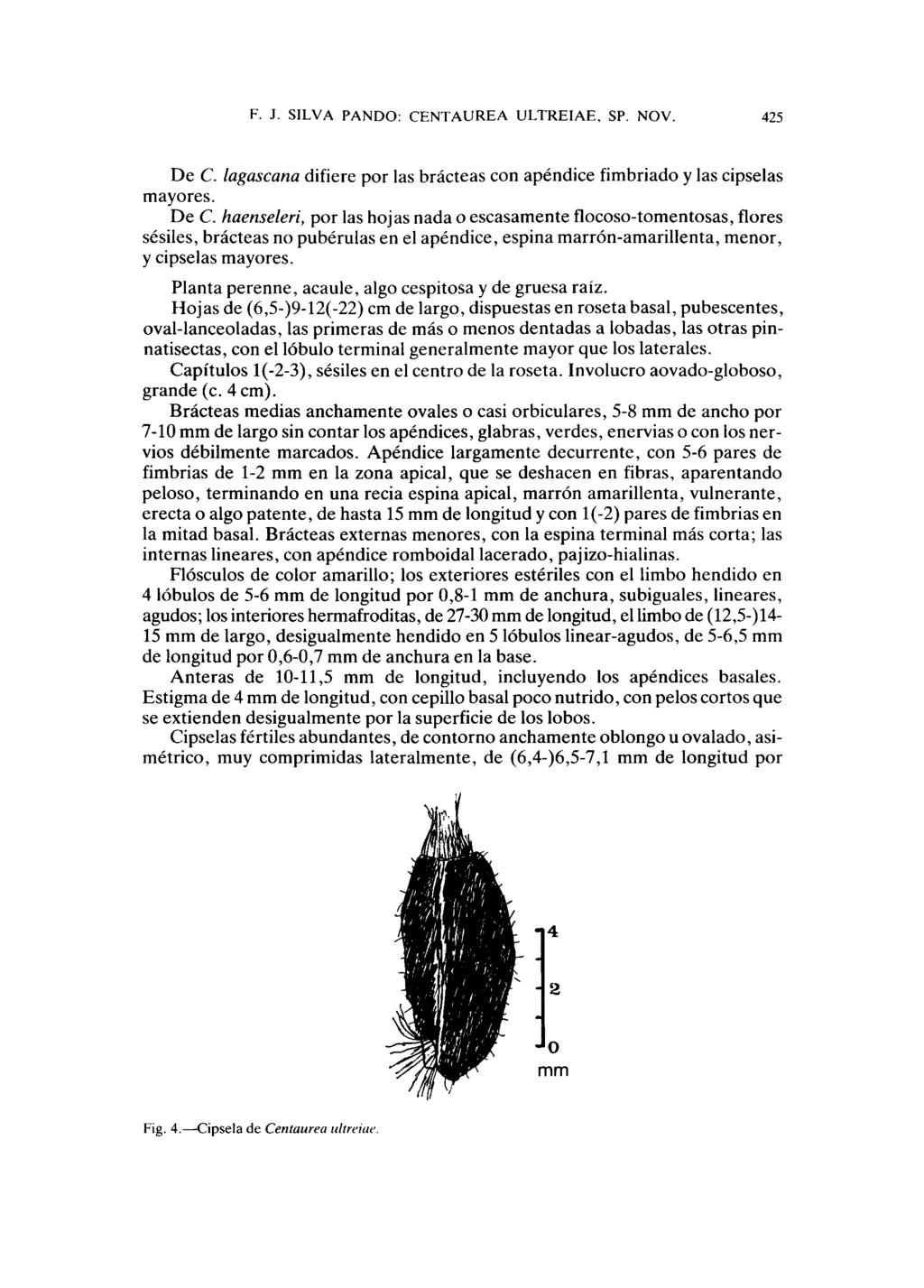 F. J. SILVA PANDO: CENTAUREA ULTREIAE, SP. NOV. 425 De C.