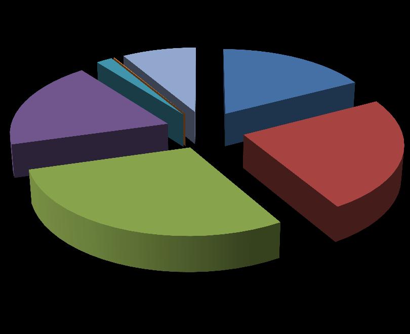 Distribución de Rentas Vitalicias aceptadas durante el 2016, según el período garantizado elegido Distribución de RV según su
