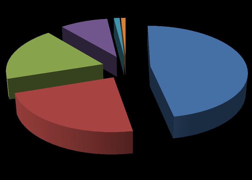 Distribución de Rentas Vitalicias aceptadas durante el 2016, según el período diferido seleccionado