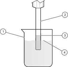 Figura 2: Método de medición 1 Recipiente de la muestra 3 Nivel de la solución de relleno 2 Cuerpo del electrodo 4 Nivel de muestra Medición: método directo Antes de la medición El electrodo debe