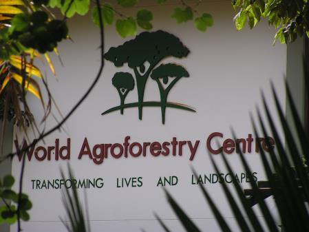 Mundial para la Agroforestería -