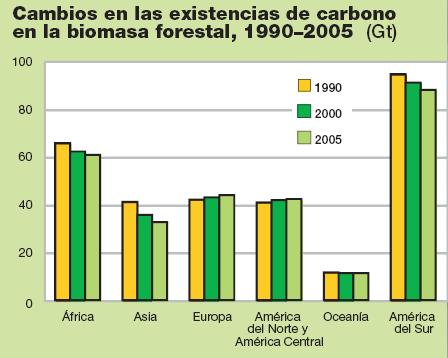 Almacenamiento de carbono, una oportunidad Mientras que la deforestación, la degradación y la mala ordenación de los bosques reducen el almacenamiento de carbono en los bosques, la ordenación
