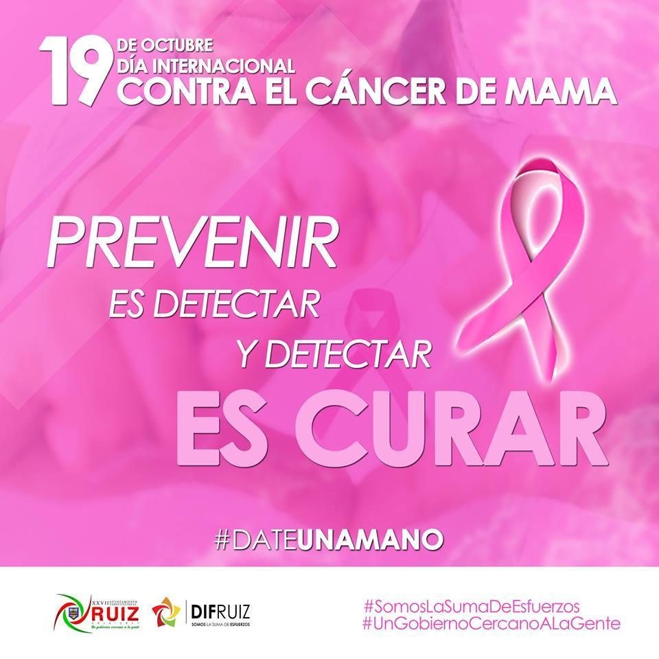 Cada año, cada 19 de octubre se celebra el Día Internacional del Cáncer de Mama, una jornada que busca crear conciencia sobre la autoexploración y la detección temprana de tumores que pueden salvarte