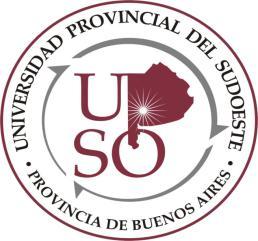 PLAPIQUI-Universidad Nacional del Sur PROYECTO: DESARROLLO