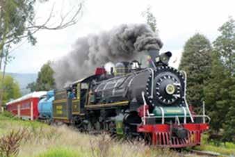 EN FAMILIA Recreación y Cultura TREN TURÍSTICO DE LA SABANA Descubre la Belleza de la Sabana de Bogotá a bordo de un tren clásico con antiguas locomotoras a vapor