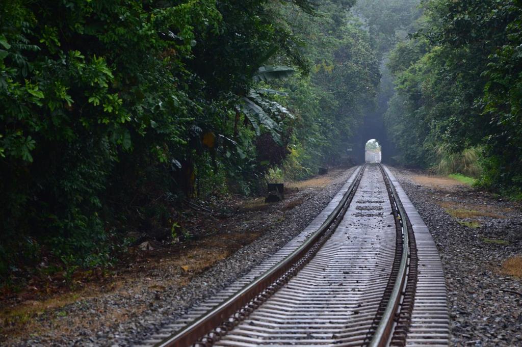 Panama Canal Railway. Autor: Ivo Kruusamägi. Entre la espesa vegetación se abre camino los rieles del ferrocarril desde 1855, año en el que se llevó a cabo el primer viaje.