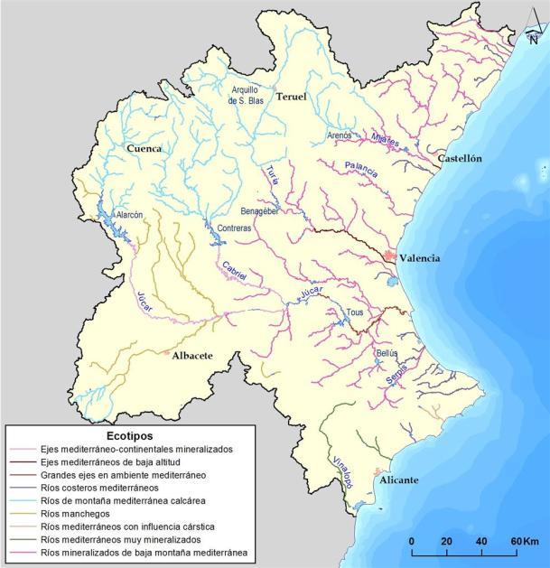 3.2 Caracterización de las masas de agua de la demarcación De acuerdo con lo establecido en el Plan Hidrológico 2009-2015 y la actualización que se recoge en el Estudio General sobre la Demarcación,