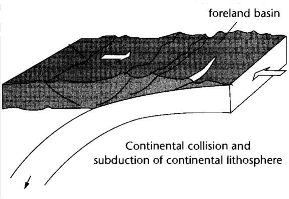 (Hunt, Petroleum Geochemistry and Geology, 1995) 10: Lado