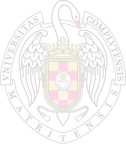 UNIVERSIDAD COMPLUTENSE DE MADRID FACULTAD DE CIENCIAS ECONÓMICAS Y