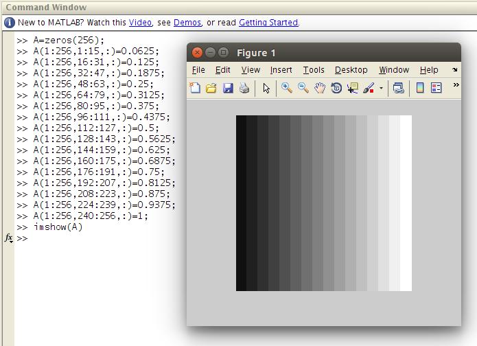 imágenes de 256 x 256 con variación del nivel de gris en