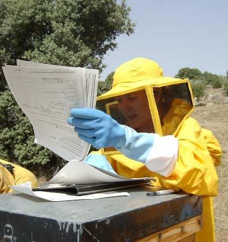 Datos del Inspector y Visita Programa de vigilancia piloto sobre las pérdidas de colonias de abejas 2012-2013 Visita 1 - previa al periodo invernal-ver.