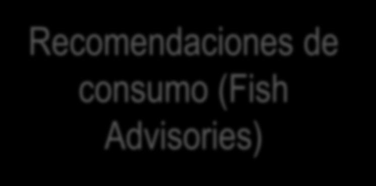 consumo (Fish
