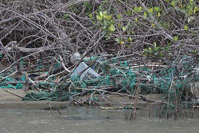 Necesidad del PAR-Manglares La pérdida y el deterioro acelerado de los manglares en la región; La