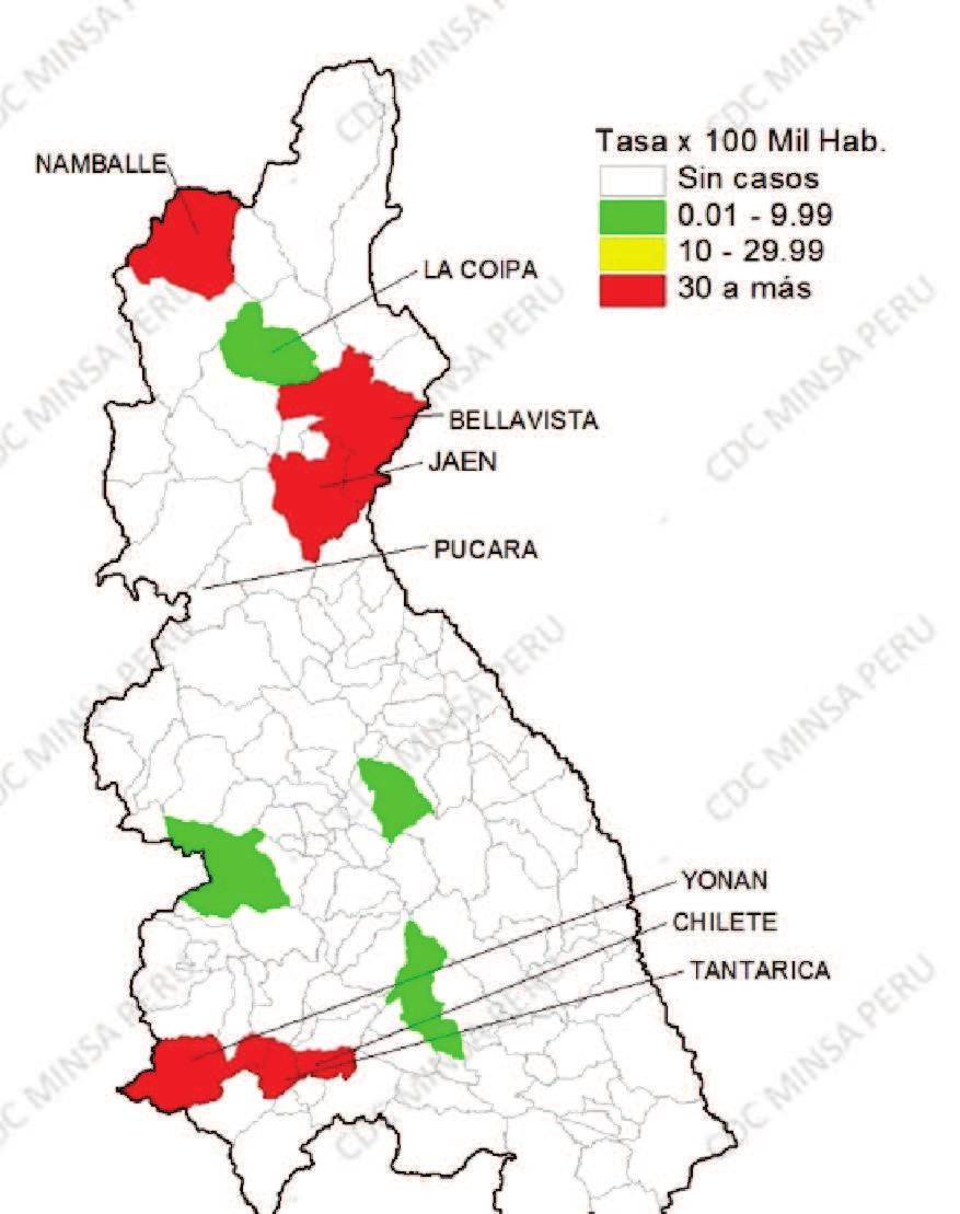 Jose del Alto 66,67 San Ignacio 17,50 Valor 0-66,67 Casos de dengue por años Cajamarca 2013* 2017* % de viviendas con acceso de agua potable 90,8 % por departamento** Serotipo