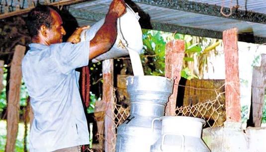 250000 Producción de leche en Panamá Demanda Toneladas de