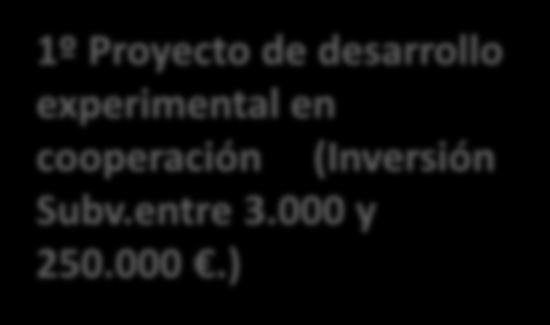 1º Proyecto de desarrollo experimental en cooperación (Inversión Subv.entre 3.000 y 250.