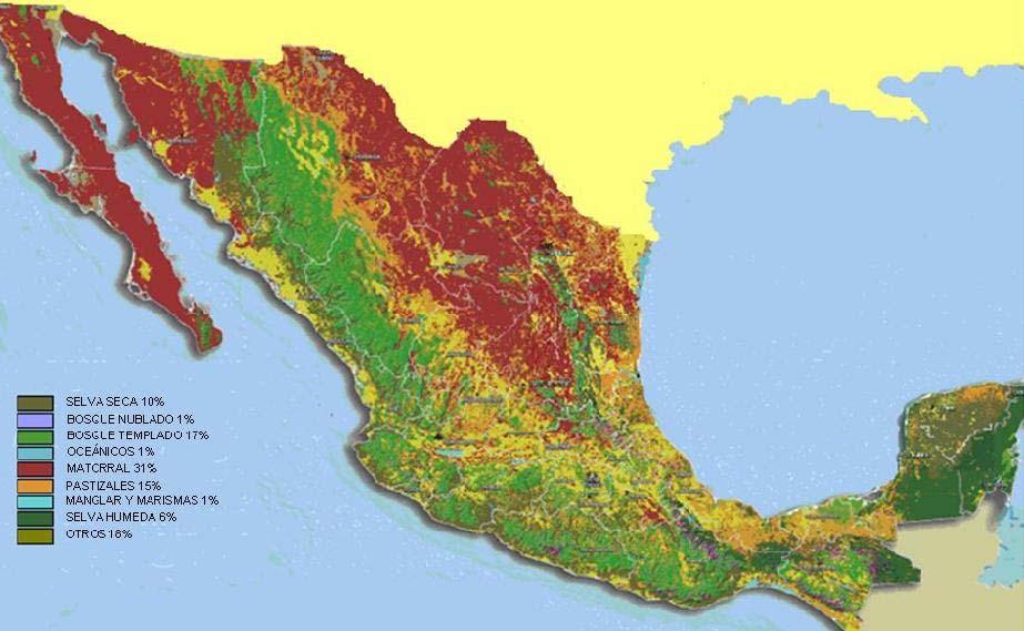 I. Contexto México tiene una superficie de 195,924.8 miles de ha. El 69.6% (136,328.0 miles de ha) esta cubierto por vegetación forestal*.