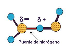 Puentes de hidrógeno: Se establecen interacciones dipolo-dipolo entre las propias moléculas de agua, formándose enlaces o puentes de hidrógeno, la carga parcial