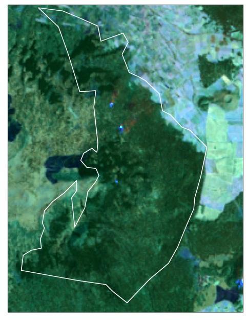 Monitoreo de la cobertura forestal en bosques de Milpa Alta, México Romero-Sánchez et al Pixeles o clases sin cambios se distribuyen alrededor de la media mientras que los pixeles o clases con