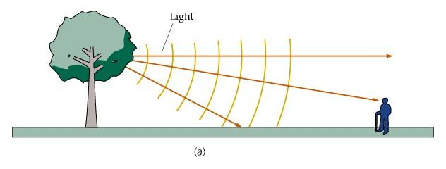 Figura 4. Frentes de ondas esféricos y rayos de luz. La velocidad de la luz en medios transparentes como el agua, el vidrio o un gas es menor que la velocidad que tiene en el vació c =.