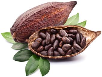 Cacao 1 Perú: Exportación de cacao en grano 215-217, por país destino 8 6 4 2 Holanda 799 759 332 553 6 1 14 1 97 1 425 4 569 4 7 2 6 1 7 412 453 364 312 44 131 718 Bélgica 693 1 28 777 377 378 293