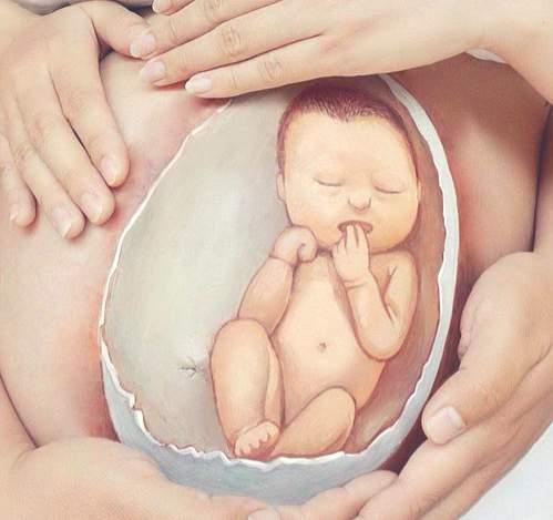 Actividades del Programa Higiene Postural Gimnasia prenatal Yoga Fisiología y anatomía de la mujer embarazada (conceptos