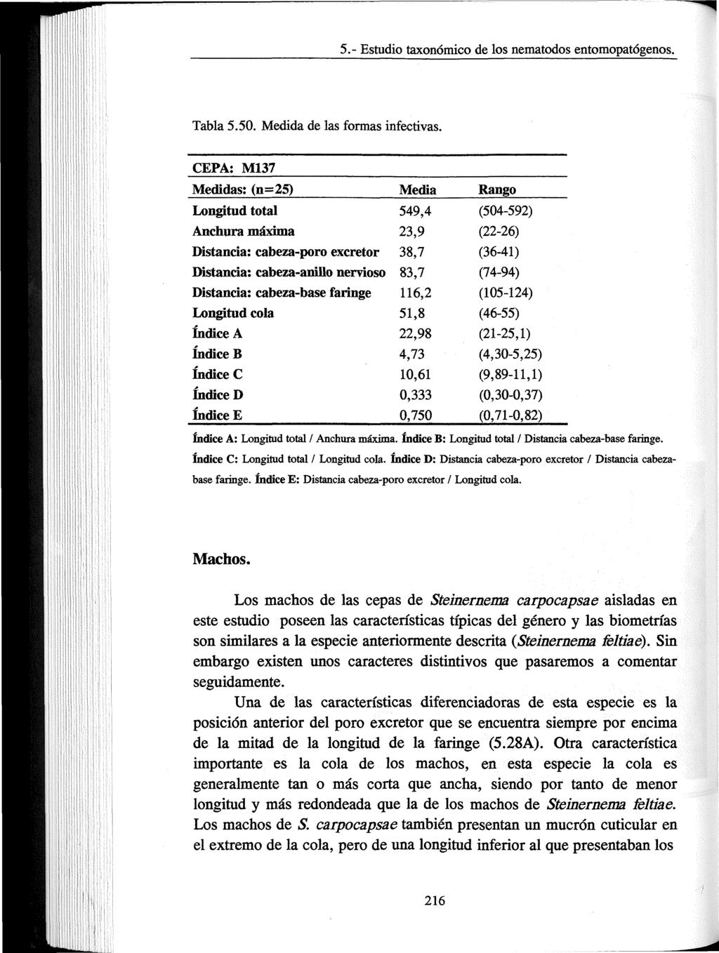 5.- Estudio taxonómico de los nematodos entomopatógenos. Tabla 5.50. Medida de las formas infectivas.