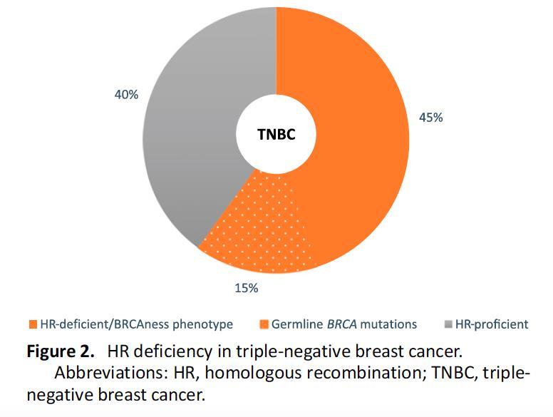 RH eficiente 40% DRH/fenotipo BRCAness 45% BRCA1 CM aparece 20 años antes que en no portadoras Frecuentemente TN: BL ( 80%) Alto GH, presentación
