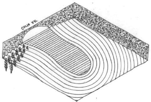 190 Sistemas de Inundación Figura 58. Corte transversal del área de siembra de un sistema de agricultura de humedad.