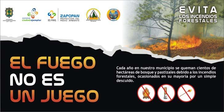 LABORES DE PREVENCIÓN Las principales labores preventivas realizadas para la temporada de Control y Combate de Incendios 2009 son: 136,220m 2 de Chaponeo 200,635ml de