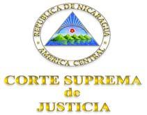 representación de CASA ALIANZA NICARAGUA y la segunda en representación del Poder Judicial, ambas denominadas partes, hemos convenido firmar el presente convenio de colaboración para dar eficaz