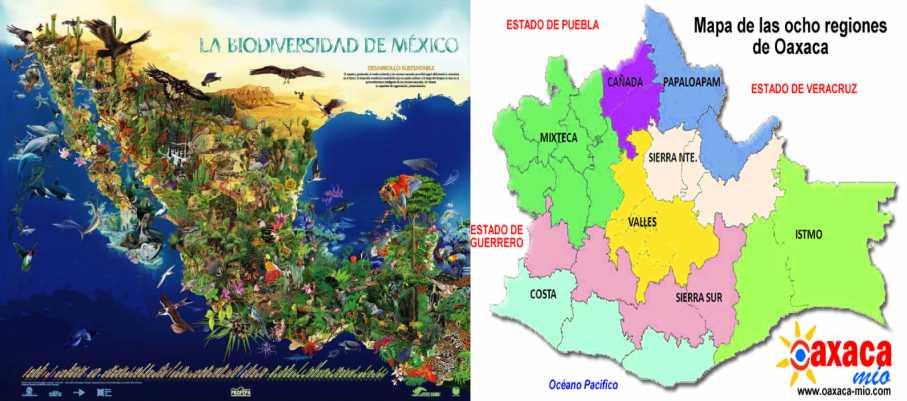 Diversidad biológica de México: Oaxaca es el estado con
