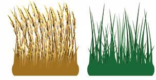 Más pérdidas Baja Producción CALIDAD: Contenido energético (EM), proteína (PB) y digestibilidad (DGS) de la hierba.
