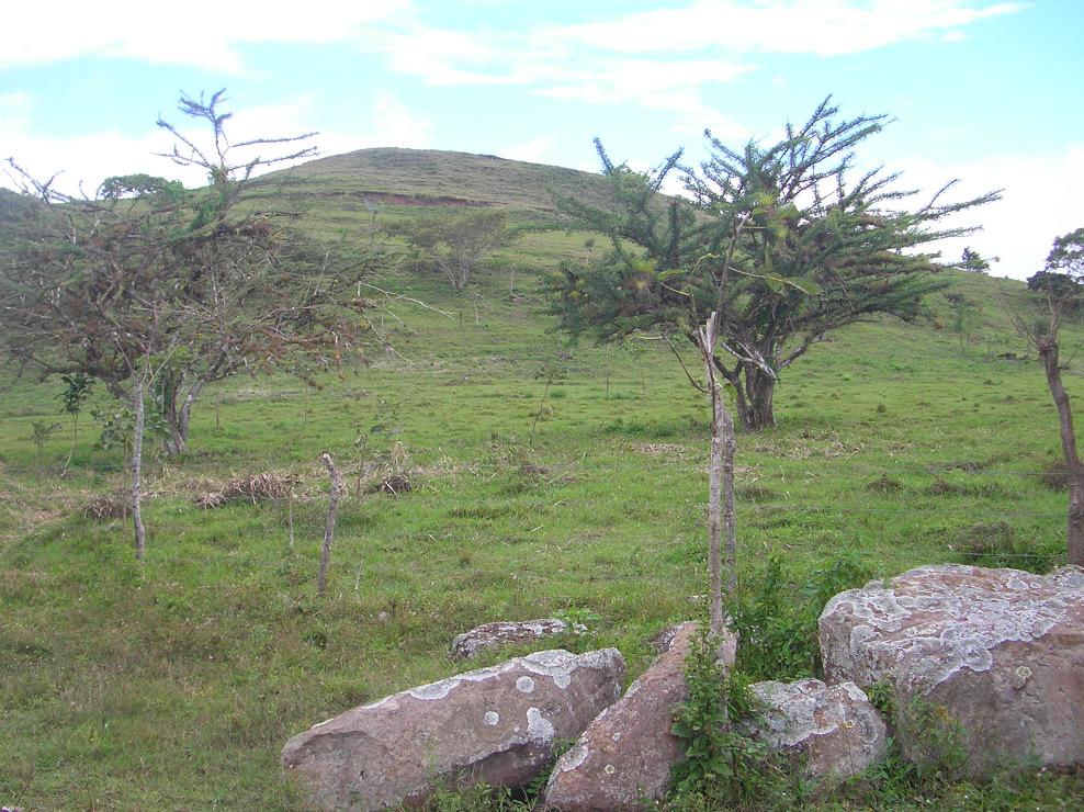 Foto No 33. Escarpe y grieta de tracción semi circular en lo alto del terreno en Comalapa, Chontales (Foto T.