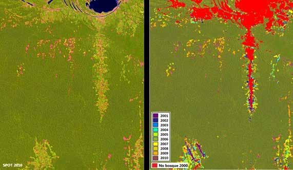 MAPEO DE PÉRDIDA DE COBERTURA DE BOSQUES HÚMEDOS AMAZÓNICOS DEL PERÚ Figura 22 Comparación visual entre el resultado de pérdida de cobertura boscosa y la información satelital disponible Izquierda: