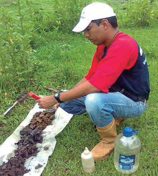 56 Estrategia para la evaluación de tierras utilizada en la Unidad de Recursos Agroecológicos del INIA-CENIAP Jairo Nogales * Manuel González Técnicos Asociados a la Investigación. INIA CENIAP.