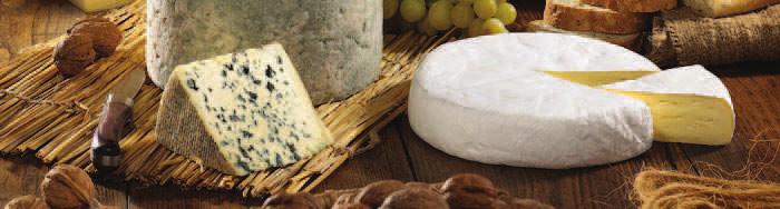 Pastas Blandas Brie Brie M.G/E.S 60% El queso francés por excelencia.