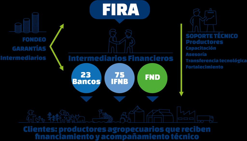 FIRA opera como banca de segundo piso.