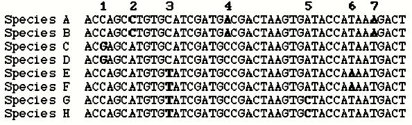 6/6- Se muestra el alineamiento de las secuencias de ocho especies (de la G a la H) para una misma región de un