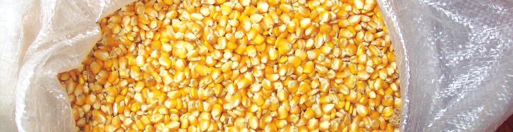 AFABA Consumo aparente maíz amarillo duro (2005-2011) MENSUAL TM AÑO Fuente: Registro en
