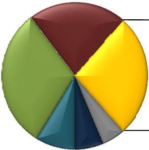 del 2013 3,72% Carteras Colectivas 0,01%