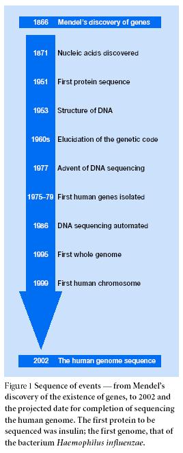 De ~nada a ~todo Biología Molecular: un gen una proteína un gen un laboratorio un gen una tesis Genómica : un genoma una tesis Antes se estudiaba el efecto de un gen ignorando así al 99.
