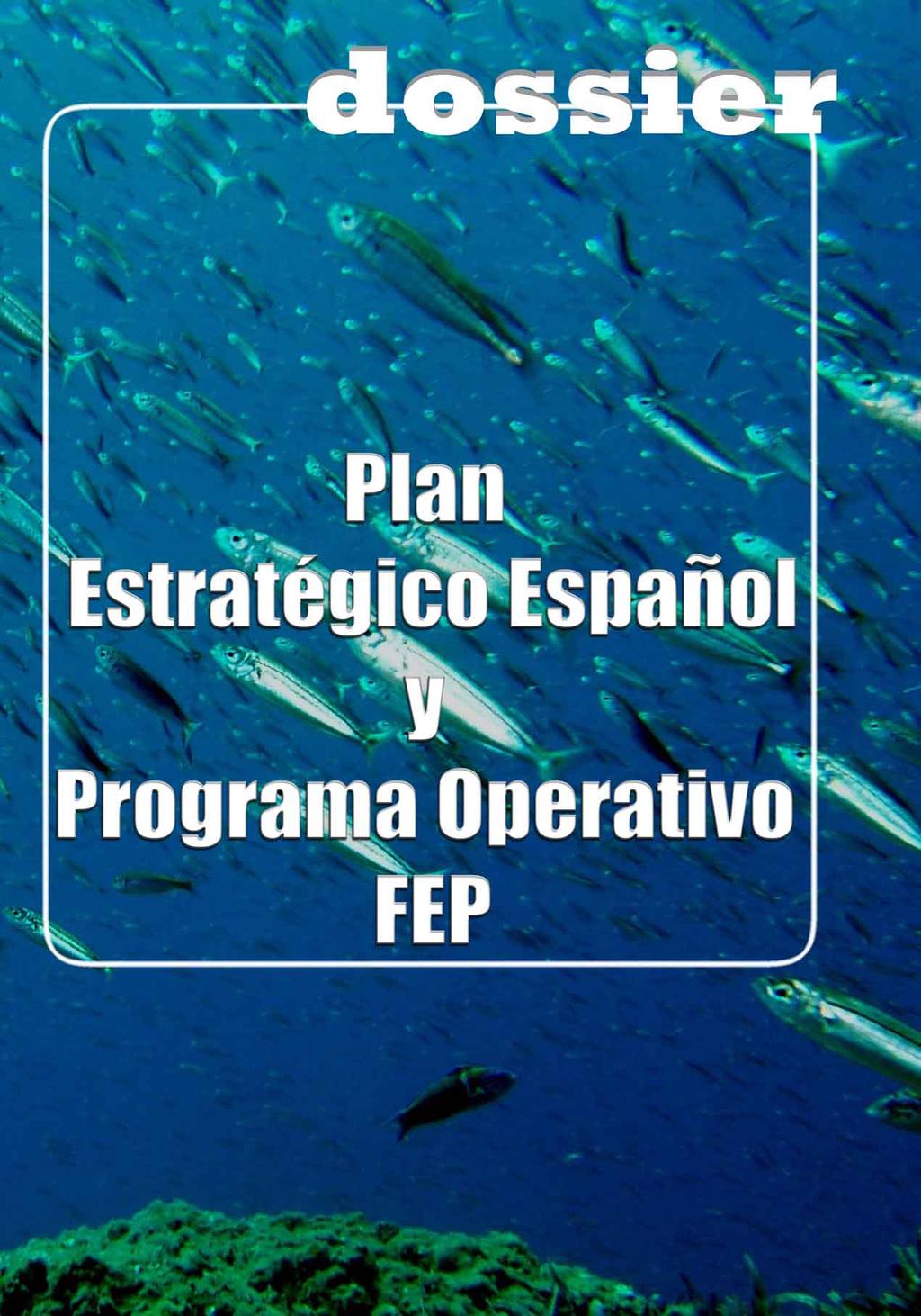 El Programa Operativo y el Plan Estratégico Nacional establecen las líneas de actuación de España en materia pesquera para el próximo periodo de programación 2007-2013 y son fruto de las