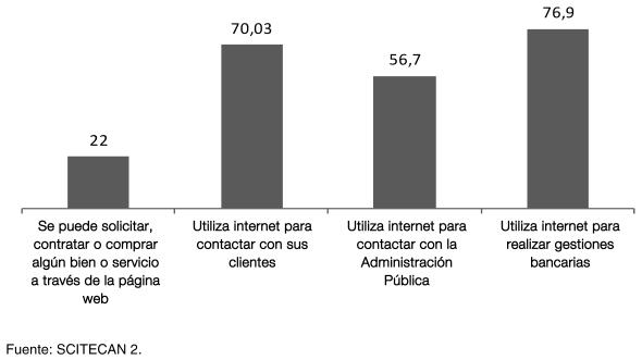 Gráfico 12. Opinión sobre el grado de importancia del uso de TICs en la microempresa (en porcentajes). ANALES DE LA FACULTAD DE DERECHO, 28; 2011, PP.