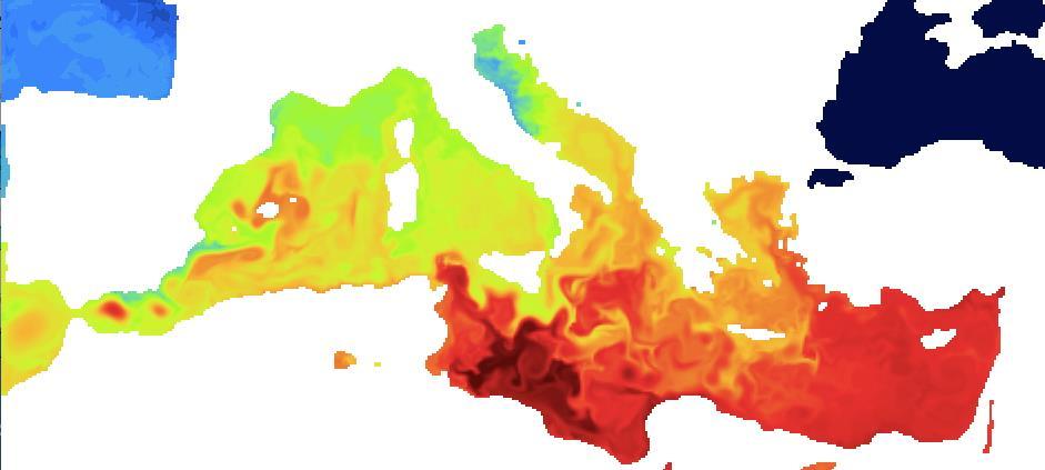 coupled simulations for the Mediterranean