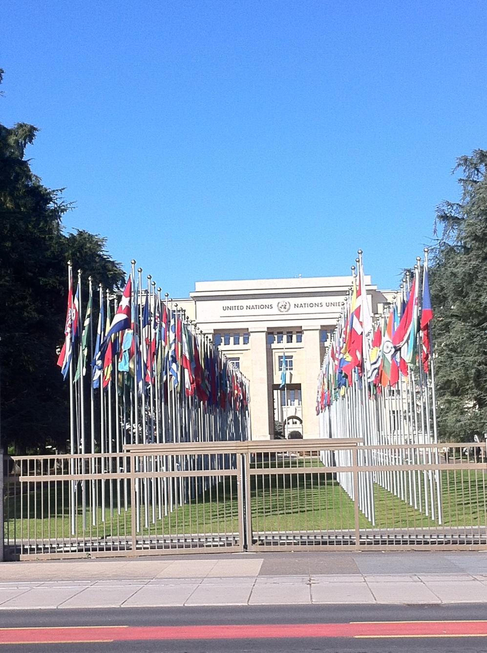 Consultation on potential Ebola therapies and vaccines 4-5 September 2014 Geneva,