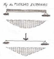 El flector externo (diagramas) adopta