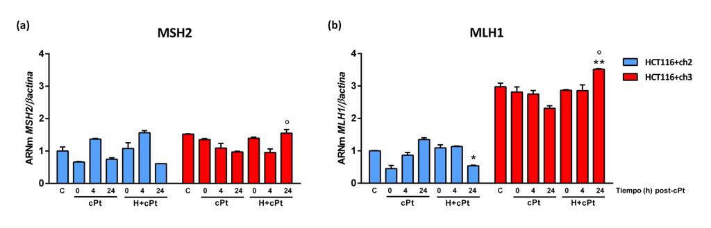 Capítulo 4 Resultados En base a los datos obtenidos se verificó que el tratamiento con hipertermia no indujo cambios en la expresión a nivel de ARNm de Hsp27 y Hsp72 de células MMR-/+ tratadas con