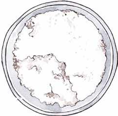 1 pizca de sal Opcional: 1 cm de jengibre (en trozo)