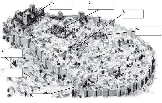 7. Identifica en este dibujo de una ciudad musulmana las siguientes partes: mezquita mayor,